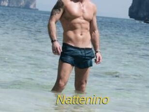 Nattenino