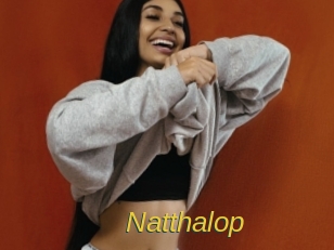 Natthalop