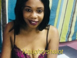 naughtyshalot Archive DVD ORG