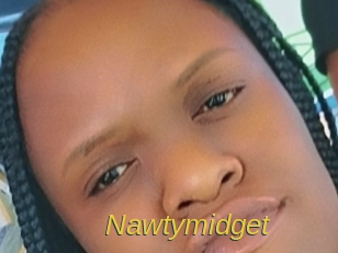 nawtymidget Archive DVD ORG