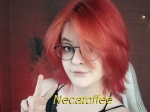 necatoffee Archive DVD ORG