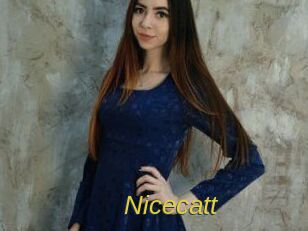 Nicecatt