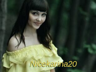 Nicekarina20