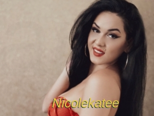 nicolekatee Archive DVD ORG