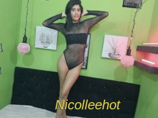 nicolleehot Archive DVD ORG
