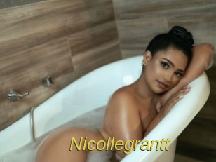 nicollegrantt Archive DVD ORG