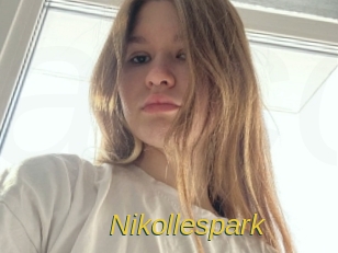 Nikollespark