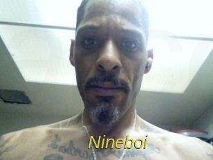 nineboi Archive DVD ORG