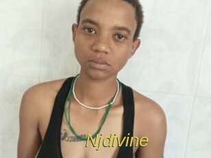 Njdivine