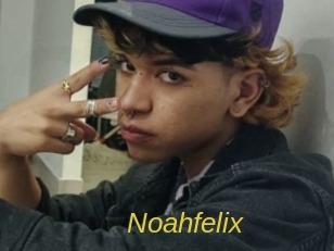 noahfelix Archive DVD ORG