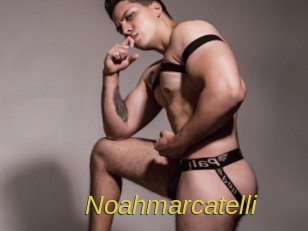 noahmarcatelli Archive DVD ORG