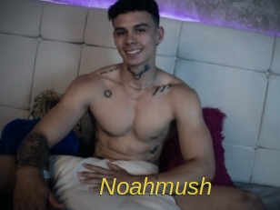 noahmush Archive DVD ORG