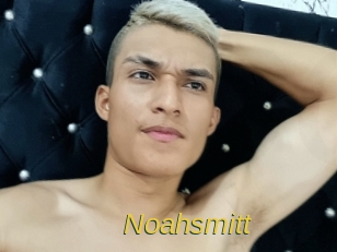 noahsmitt Archive DVD ORG