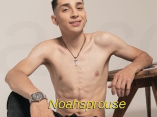 Noahsprouse
