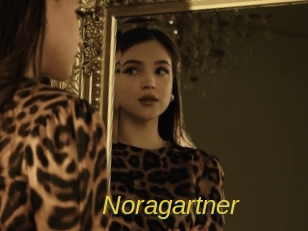 noragartner Archive DVD ORG