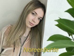 Noreenbunte
