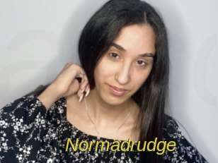 Normadrudge