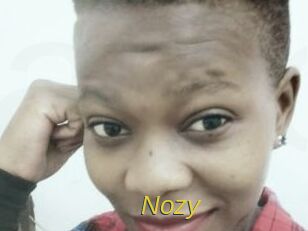 Nozy