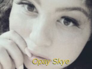 Opay_Skye