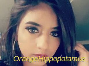 OrangeHippopotamus