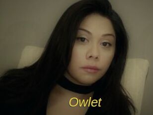 _Owlet_