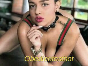Obedientcathot