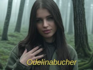 Odelinabucher