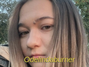 Odelindaburner