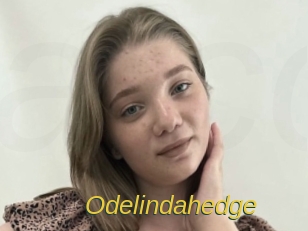 Odelindahedge