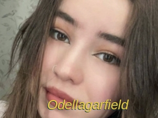 Odellagarfield