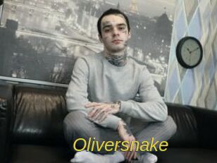 Oliversnake