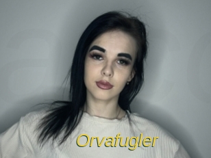 Orvafugler