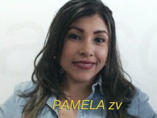 PAMELA_zv