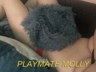 PLAYMATE_MOLLY Archive DVD ORG