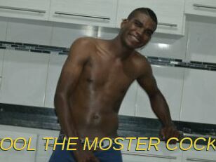 POOL_THE_MOSTER_COCK