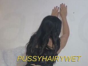 PUSSYHAIRYWET