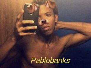 Pablobanks Archive DVD ORG