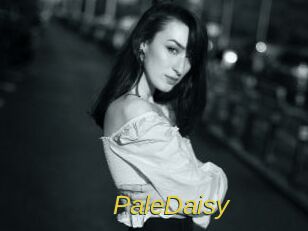 PaleDaisy