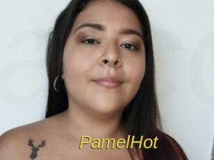 PamelHot Archive DVD ORG