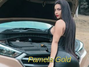 Pamela_Gold Archive DVD ORG