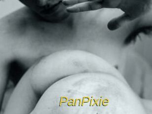 PanPixie