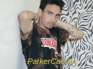 ParkerCaesar Archive DVD ORG