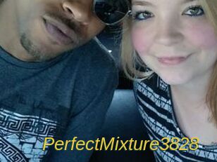 PerfectMixture3828