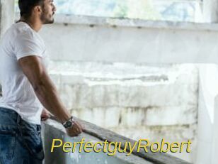 PerfectguyRobert