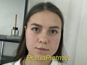 PeruaPintmer Archive DVD ORG