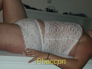 Phaccpn Archive DVD ORG