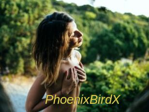 PhoenixBirdX