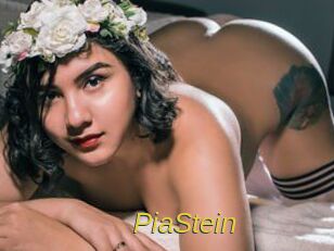 PiaStein Archive DVD ORG