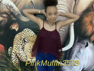 PinkMuffin3578