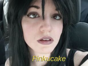 Pinkucake Archive DVD ORG